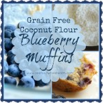 Gluten-Free Blueberry Muffins with Coconut Flour