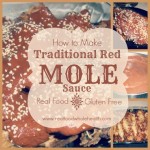 Savory Mole Sauce- a traditional red mole