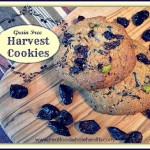 Harvest Cookies (gluten-free!)