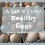 A Guide to Choosing Healthy Eggs