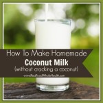 How to Make Coconut Milk