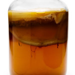 VIDEO: How to Make Your Own Kombucha