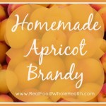 Homemade Apricot Brandy