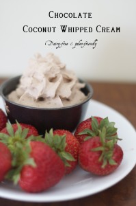 Chocolate-Coconut-Milk-Whipped-Cream-is-a-rich-and-delicious-treat-Dairy-free-and-Paleo-friendly