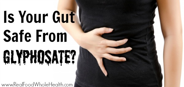 Is Your Gut Safe From Glyphosate? #realfood #health #sponsor #gmo #guthealth